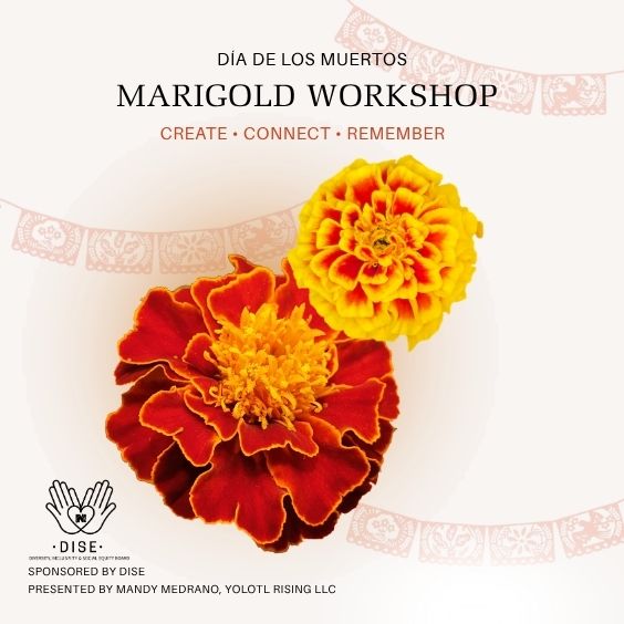 Marigold Workshop